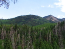 photo thumbnail #8