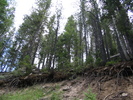 photo thumbnail #11