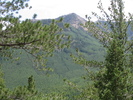 photo thumbnail #15