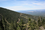 photo thumbnail #10
