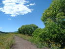 photo thumbnail #4