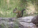 photo thumbnail #6