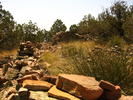 photo thumbnail #3