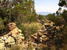 photo thumbnail #8