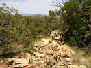 photo thumbnail #11