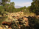 photo thumbnail #12