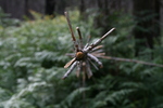 photo thumbnail #10