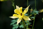 photo thumbnail #11