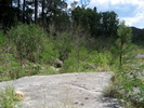 photo thumbnail #12