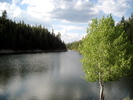 photo thumbnail #2