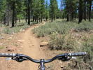 photo thumbnail #5