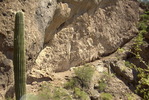 photo thumbnail #10