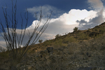 photo thumbnail #1