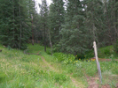 photo thumbnail #7
