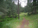 photo thumbnail #8