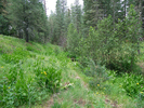 photo thumbnail #10