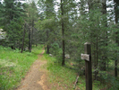 photo thumbnail #11