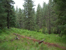 photo thumbnail #12