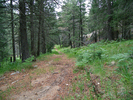 photo thumbnail #13