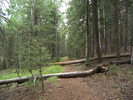 photo thumbnail #15