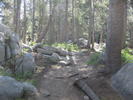 photo thumbnail #2