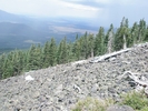 photo thumbnail #1