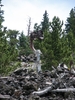 photo thumbnail #4