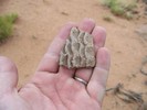photo thumbnail #5