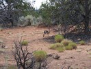 photo thumbnail #10