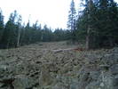 photo thumbnail #7
