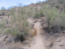 photo thumbnail #4