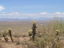 photo thumbnail #7