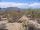 photo thumbnail #15