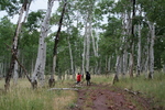 photo thumbnail #5