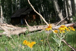photo thumbnail #13
