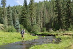 photo thumbnail #6