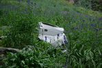 photo thumbnail #13