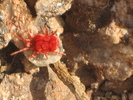 photo thumbnail #1