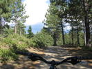 photo thumbnail #6