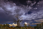 photo thumbnail #12
