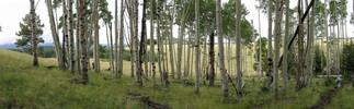 photo thumbnail #6