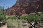 photo thumbnail #9
