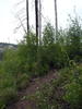 photo thumbnail #4