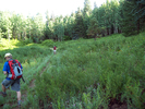 photo thumbnail #3