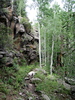 photo thumbnail #5