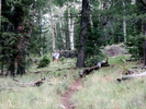photo thumbnail #8