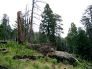 photo thumbnail #9