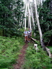 photo thumbnail #12