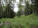 photo thumbnail #13