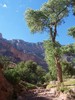 photo thumbnail #7